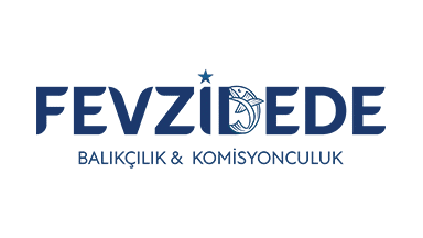 fevzidede1